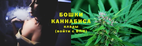 стаф Белокуриха