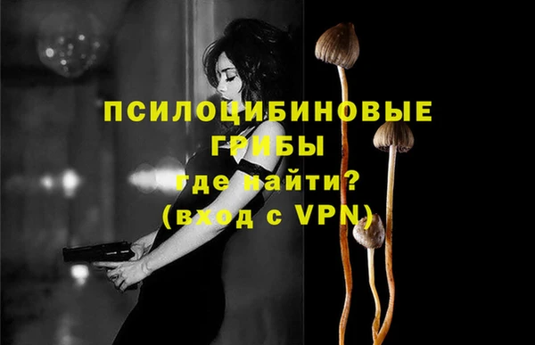 синтетический гашиш Богданович