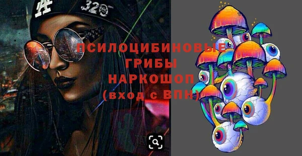 стаф Белокуриха