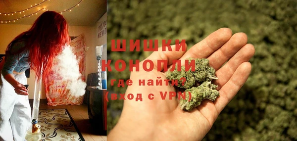 стаф Белокуриха