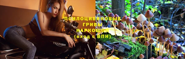 гидропоника Богородск