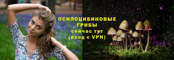 гидропоника Богородск